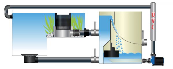 Schematische Zeichnung über die installation des Edelstahl Bioskimmer in einer Flachwasserzone im Teich