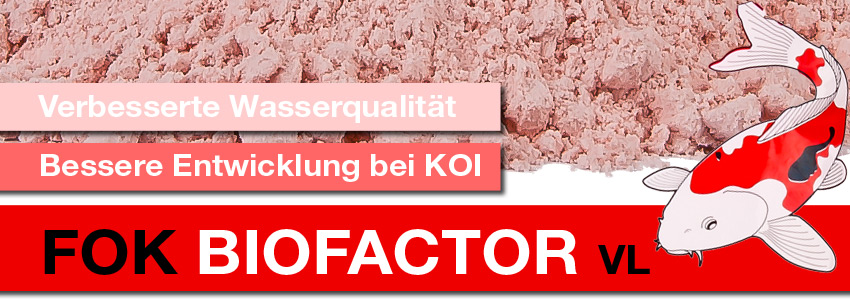 Produkt Banner für den FOK Biofaktor VL Wasseraufberteiter mit einem Koi